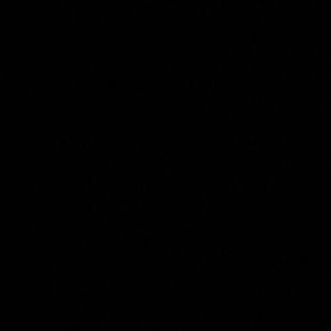 Meet your Posher, Malachi